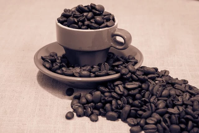 Café - História da Gastronomia no Brasil