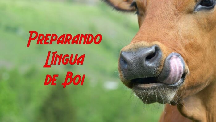Como Limpar Língua de boi
