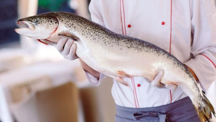 Como Limpar Peixe