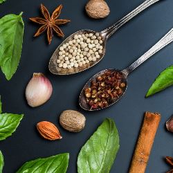 curso de gastronomia EAD